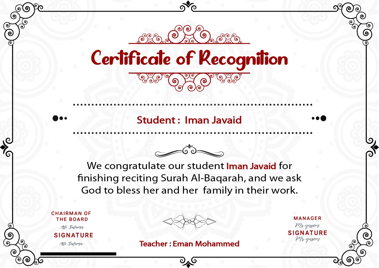 WhatsApp Image 2024-12-19 at 00.49.46_02c7b3eb