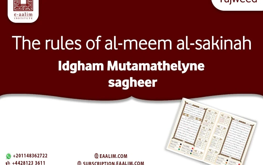 The rules of al-meem al-sakinah Idgham Mutamathelyne sagheer: