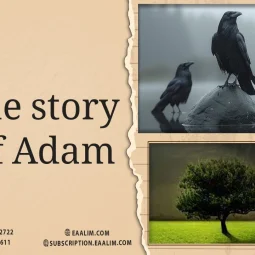 The Story of prophet David