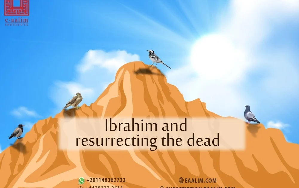 lbrahim and resurrecing the dead